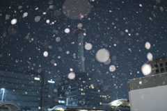 冬の光景