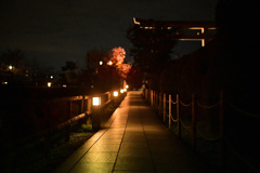 夜の長岡天満宮