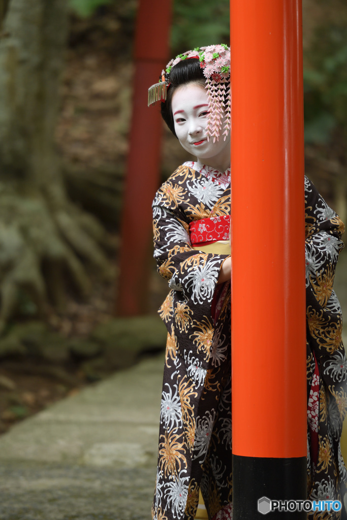 鳥居舞妓