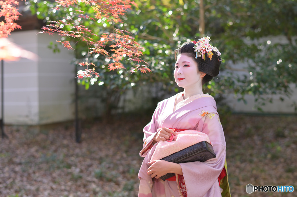 晩秋