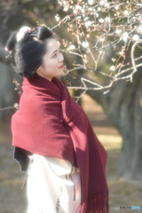 梅×梅