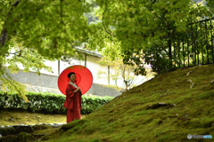 散策