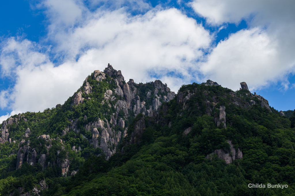 夏の山