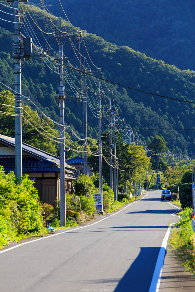 夏の道