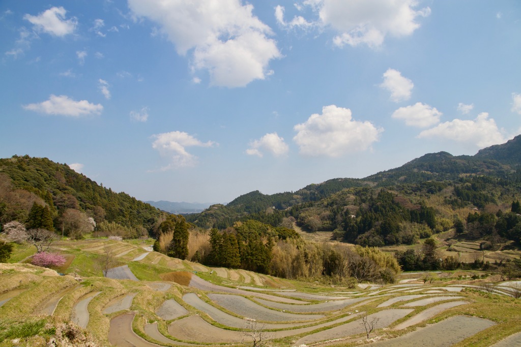 大山千枚田