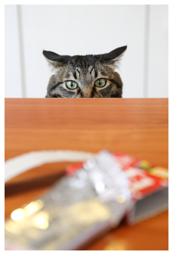 猟師