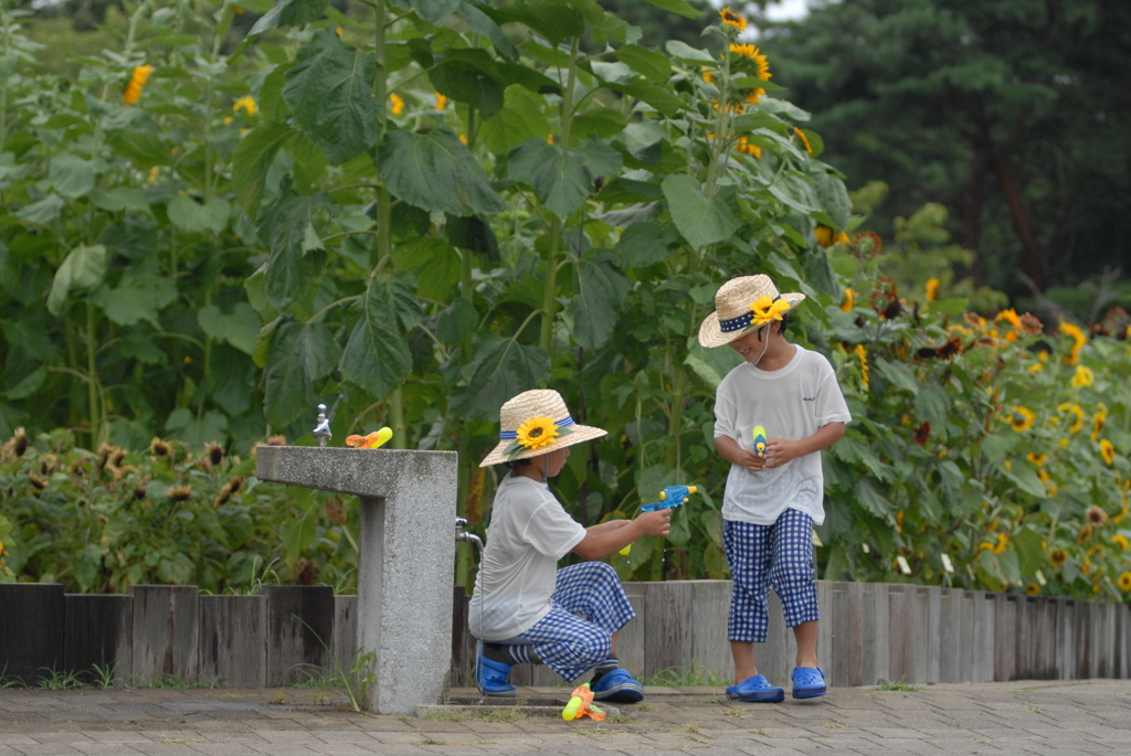 花の撮影なんか