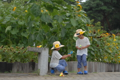 花の撮影なんか
