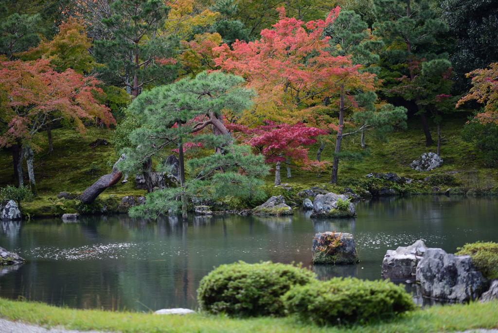 天龍寺