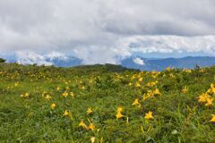 山の花園２
