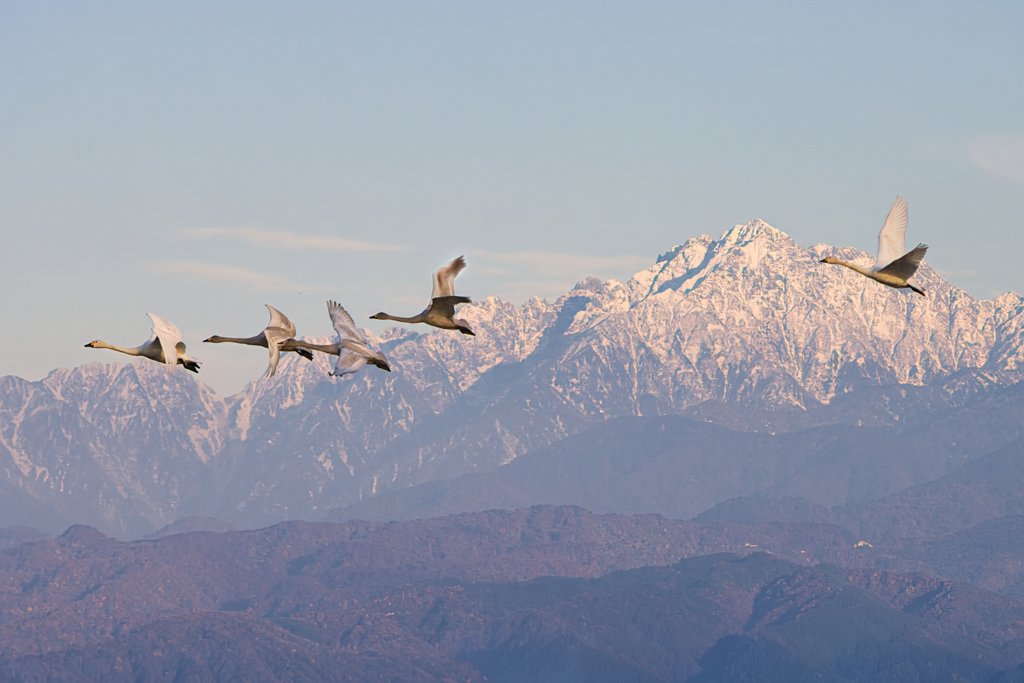 大空に舞う(剱岳)