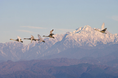 大空に舞う(剱岳)