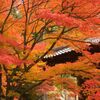 阿弥陀山清水寺の紅葉12