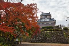 越前大野城と紅葉