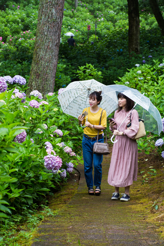 雨でも・・・散歩