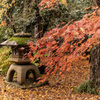 紅葉と灯篭