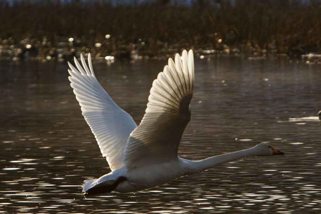 take off