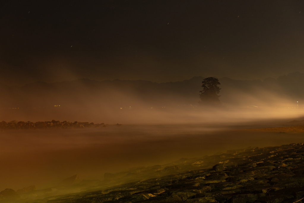 Too many「Kearashi」２