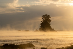 日の出でクッキリ 日の出でクッキリ