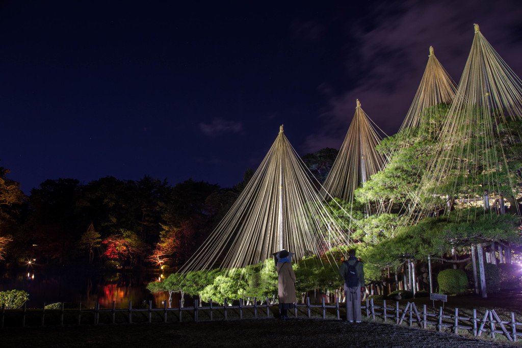 兼六園ライトアップ６