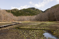 池ケ原湿原