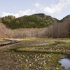 池ケ原湿原