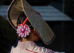 菅笠１