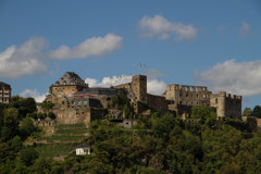 ラインフェルス城