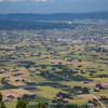 散居村の実り