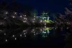 高田城址公園の桜・夜の部２