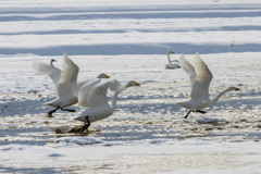 午後の運動、スタート