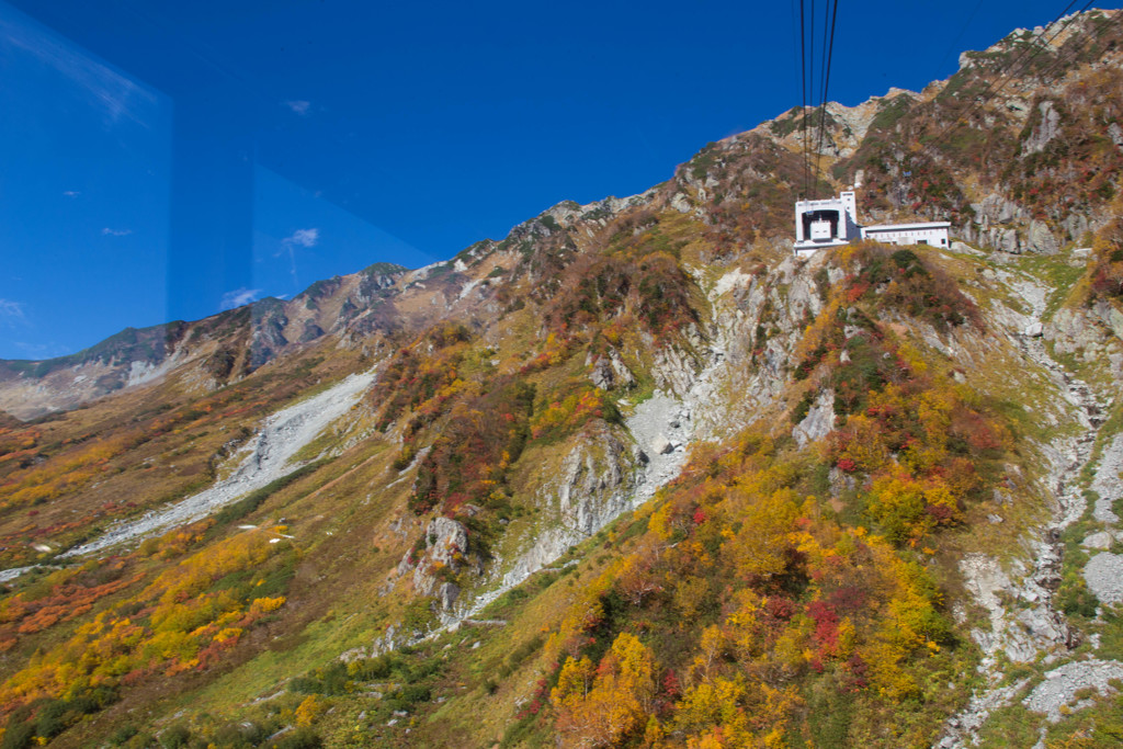 立山大観峰の紅葉２