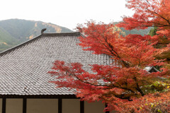 阿弥陀山清水寺の紅葉11