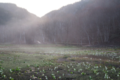 朝靄の池ケ原湿原