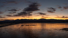 白鳥は居なくても