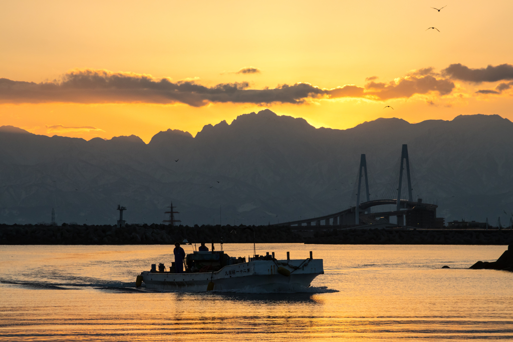 帰港