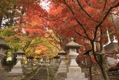 阿弥陀山清水寺の紅葉４