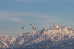 大空に・・・２