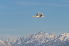 大空に・・・１