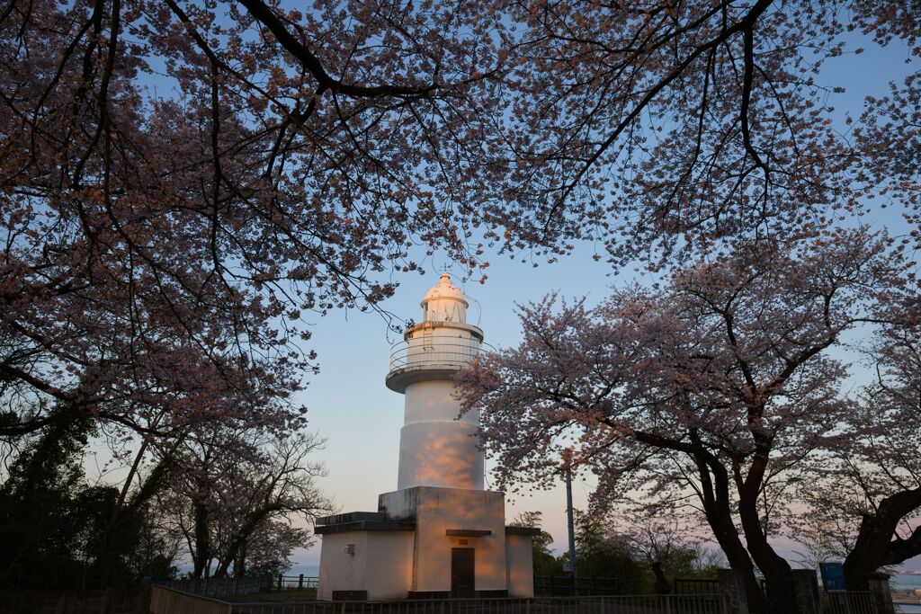 夕日を受けて