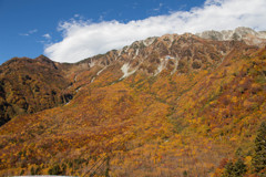 立山大観峰の紅葉４