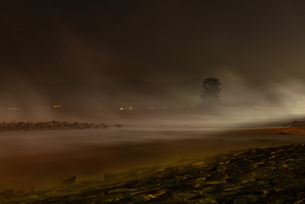 Too many「Kearashi」１