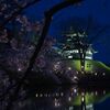 高田城址公園の桜・夜の部