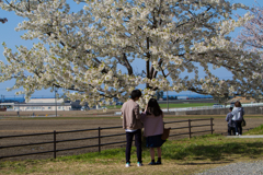 撮影の設定中
