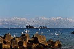 虻が島と立山連峰