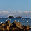 虻が島と立山連峰