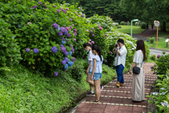 家族で