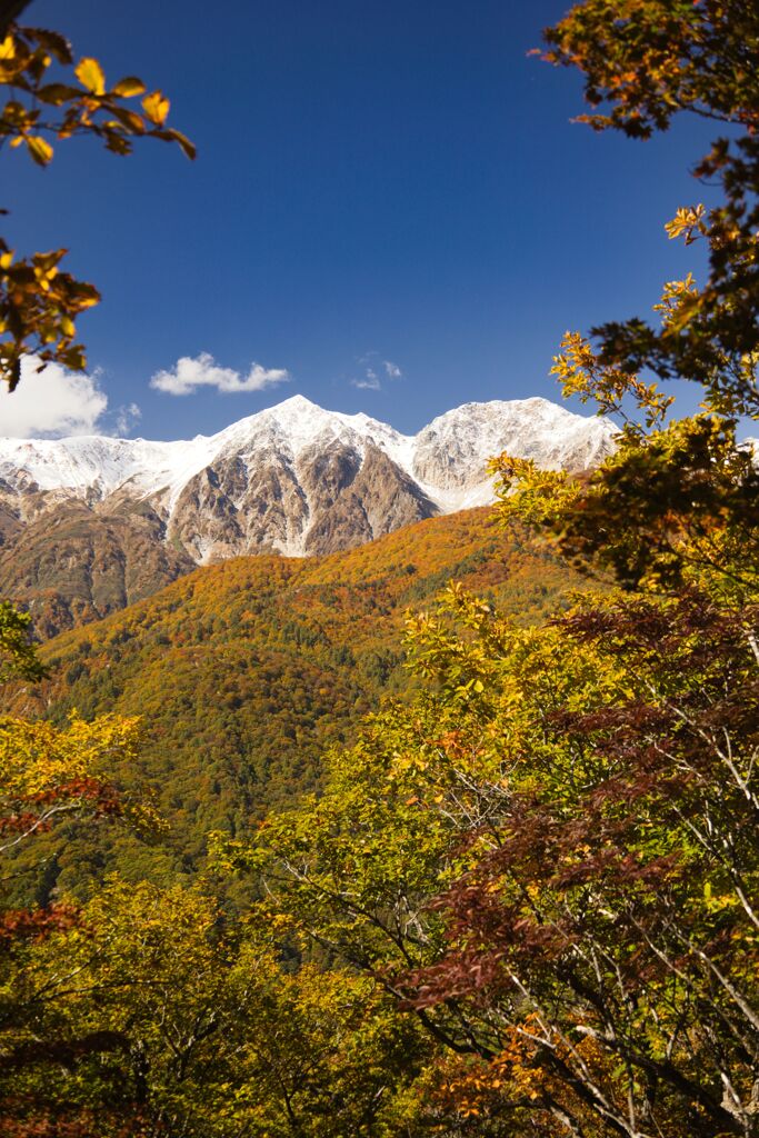 紅葉と冠雪の山