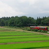 田園快走、雪月花　（下り）