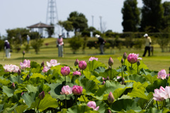 日差し強い中